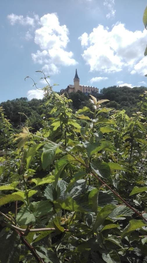 Lucka Daire Ústí nad Labem Dış mekan fotoğraf